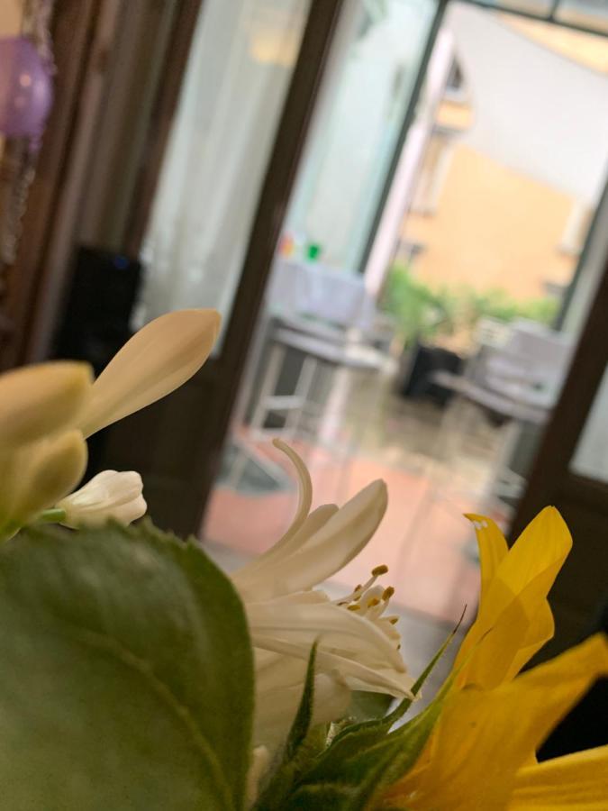 Le 5 Vie Bed and Breakfast Bergamo Eksteriør billede